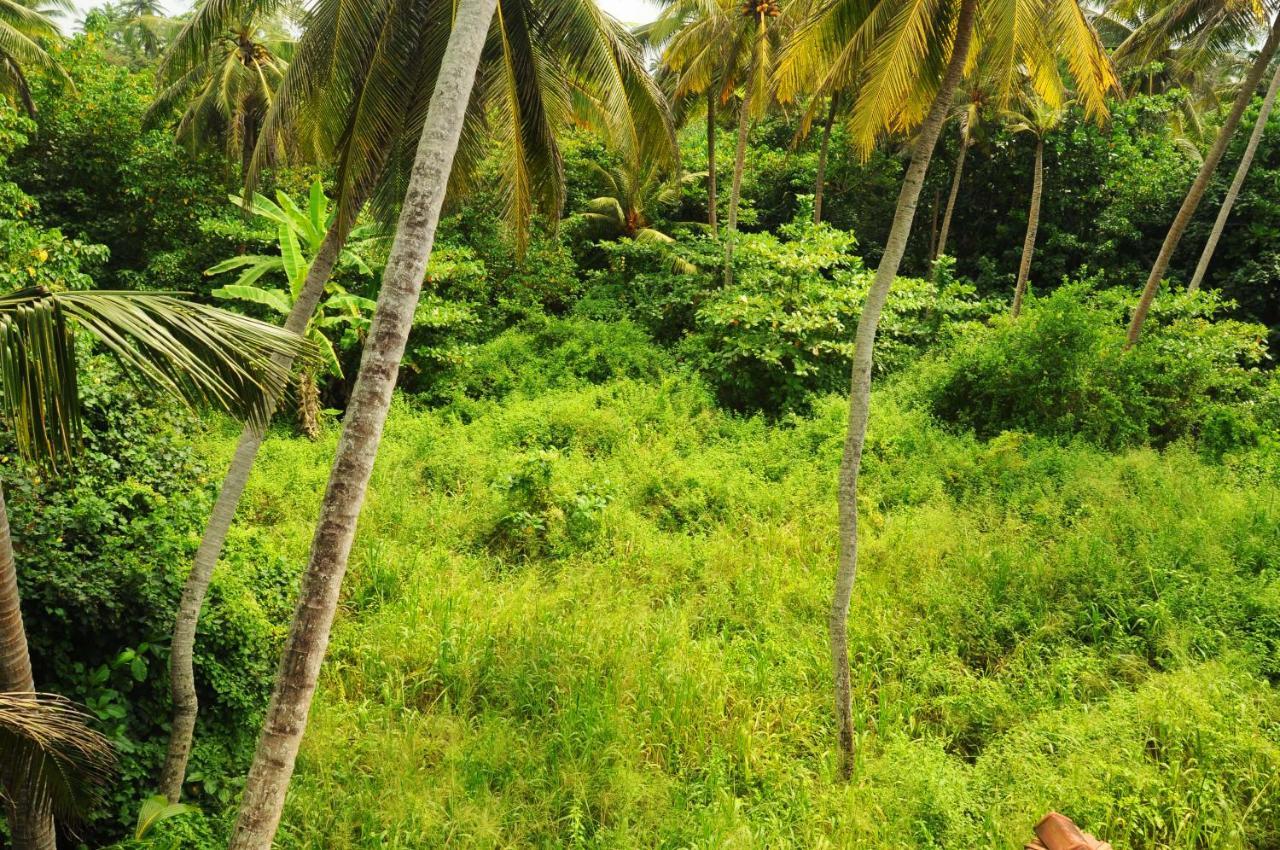 Deutsch Lanka Hotel Telwatta Bagian luar foto